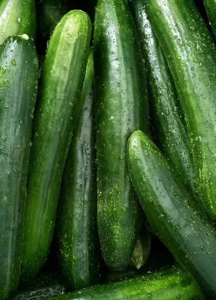Straight 8 Cucumber – 30 Seeds