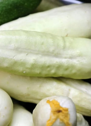 White Wonder Cucumber – 30 Seeds