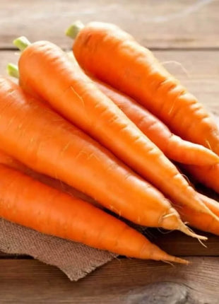 Scarlet Nantes Carrot – 250 Seeds