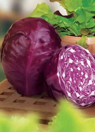Red Acre Cabbage – 100 Seeds