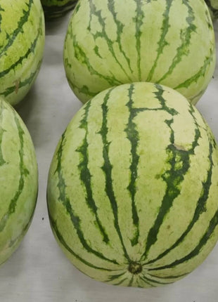 Dixie Queen Watermelon – 25 Seeds
