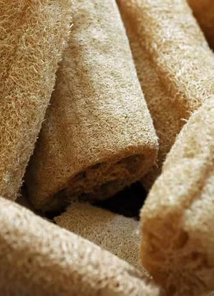 Luffa Gourd – 20 Seeds