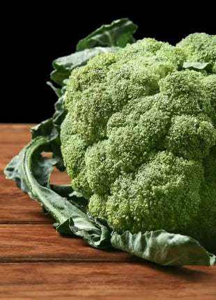 Calabrese Green Broccoli – 100 Seeds