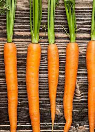 Imperator 58 Carrot – 250 Seeds