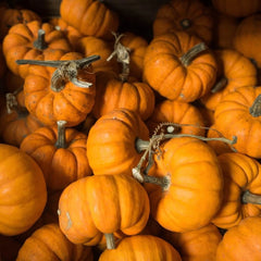 Collection image for: Pumpkin