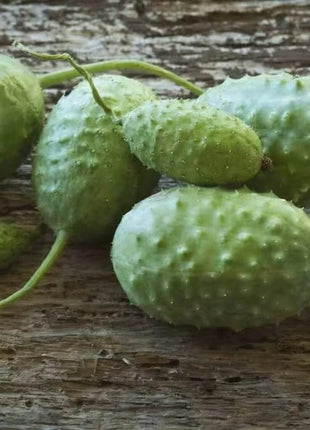 West Indian Gherkin Cucumber – 30 Seeds