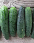 Marketmore 76 Cucumber – 30 Seeds