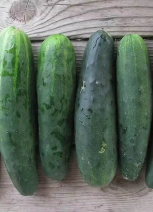Marketmore 76 Cucumber – 30 Seeds
