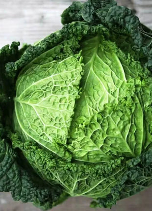 Savoy Cabbage – 100 Seeds