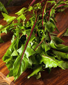 Red Italiko Chicory (Dandelion) – 50 Seeds