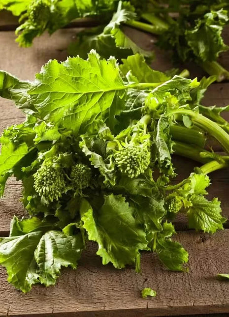 Rapini Raab Broccoli – 100 Seeds
