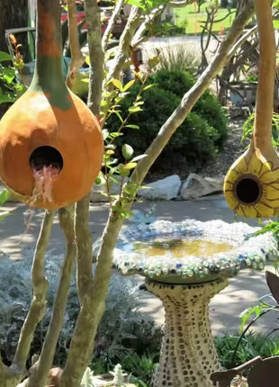 Birdhouse Bottle Gourd – 15 Seeds