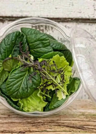 Tatsoi Mustard – 100 Seeds