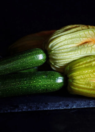 Dark Green Zucchini Summer Squash – 25 Seeds