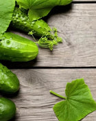 H-19 Little Leaf Cucumber – 30 Seeds