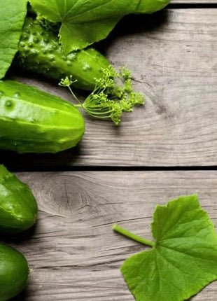 H-19 Little Leaf Cucumber – 30 Seeds