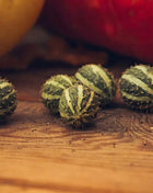 West Indian Gherkin Cucumber – 30 Seeds