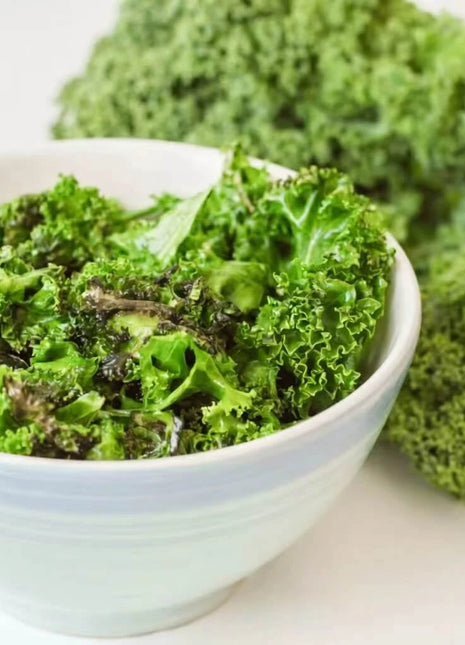 Dwarf Blue Curled Scotch Kale – 250 Seeds
