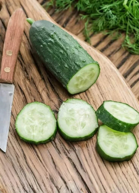 Spacemaster Cucumber – 30 Seeds