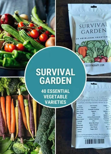Survival Vegetable Garden – 40 Essential Crops