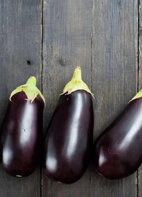 Black Beauty Eggplant – 50 Seeds