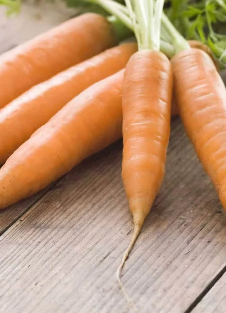 Little Finger Carrot – 250 Seeds