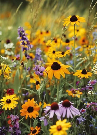 Perennial Wildflower Seed Mix (15 Varieties) – 1,000 Seeds