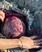Red Acre Cabbage – 100 Seeds