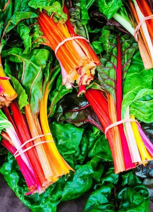 Rainbow Swiss Chard – 150 Seeds