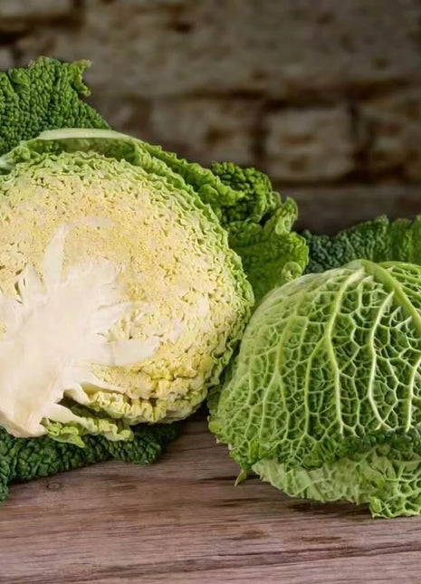 Savoy Cabbage – 100 Seeds