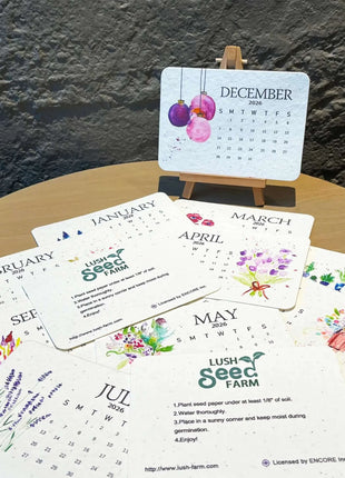 ✨This Week's Special Price ✨-🌱Eco-Friendly Plantable Love Seed Calendar 2026