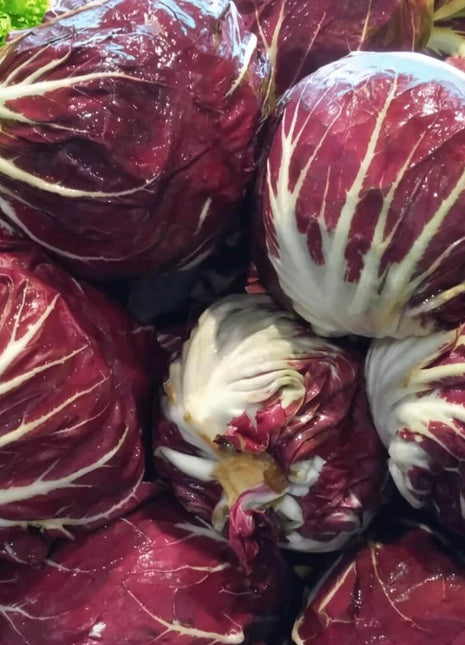 Palla Rossa Radicchio – 100 Seeds
