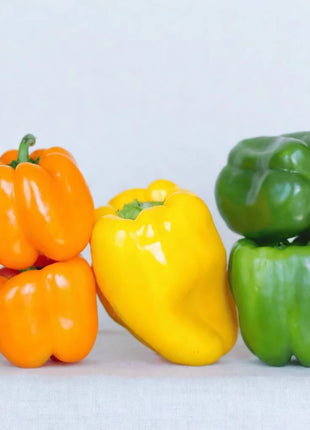 Rainbow Bell Sweet Pepper – 25 Seeds