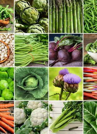 Community Garden Survival Seed Vault – 120 Seed Varieties