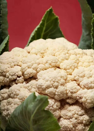 Snowball Y Improved Cauliflower – 200 Seeds