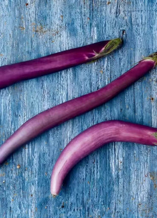 Long Purple Eggplant – 50 Seeds