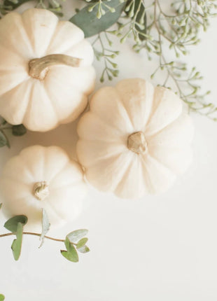 Gooligan Pumpkin – 10 Seeds