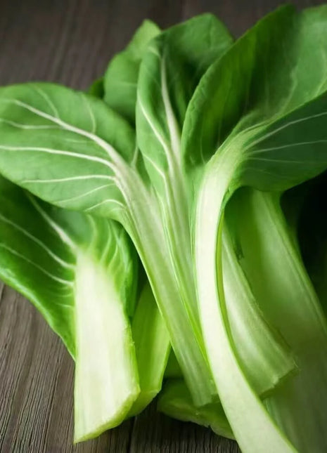 Tatsoi Mustard – 100 Seeds