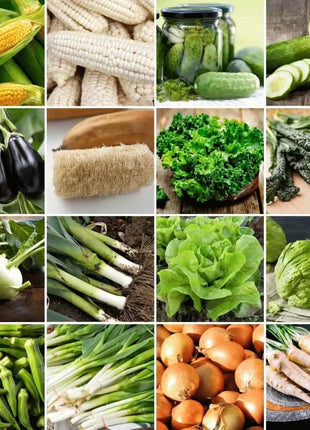 Community Garden Survival Seed Vault – 120 Seed Varieties