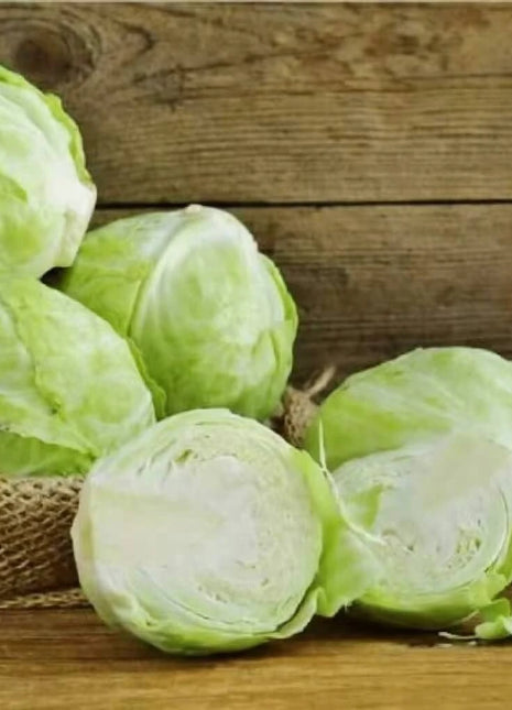 Copenhagen Market Cabbage – 100 Seeds