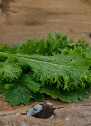 Southern Giant Mustard – 250 Seeds