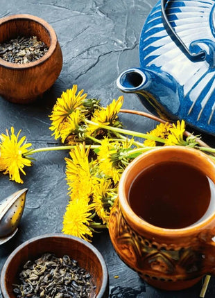 True Dandelion – 50 Seeds