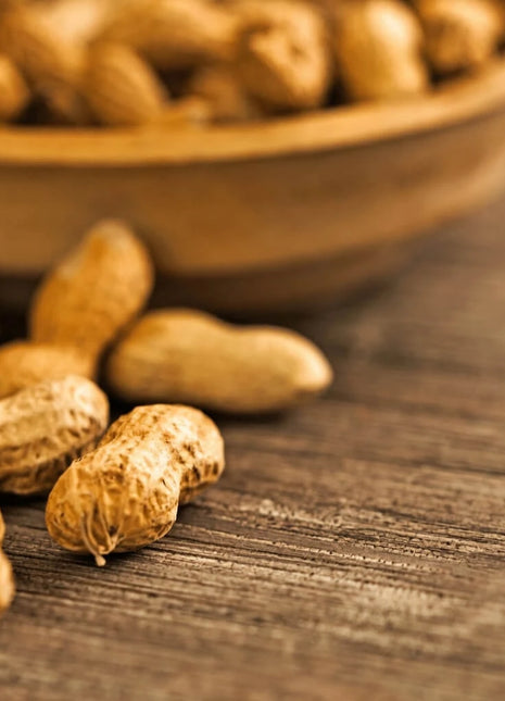 Virginia Jumbo Peanuts – 10 Seeds