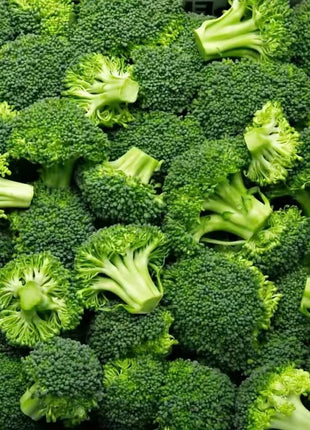 Waltham 29 Broccoli – 100 Seeds