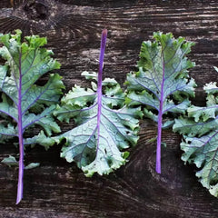 Collection image for: Kale