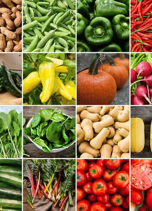 Community Garden Survival Seed Vault – 120 Seed Varieties