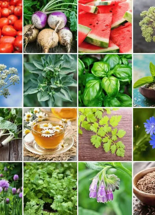 Community Garden Survival Seed Vault – 120 Seed Varieties