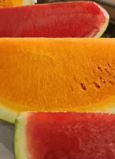 Tendersweet Orange Watermelon – 25 Seeds