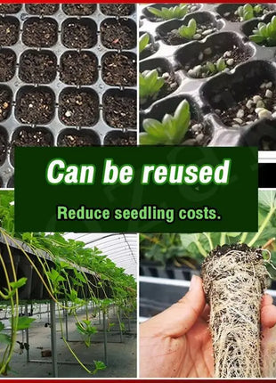 SEEDLING TRAY for Optimal Plant Growth