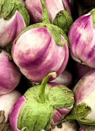 Rosa Bianca Eggplant – 50 Seeds